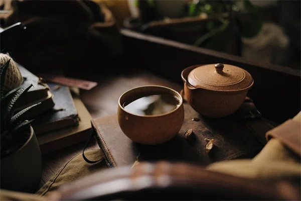 日陰の庭にたった1つ植えるだけ！劇的に変わる宿根草アスチルベの秘密