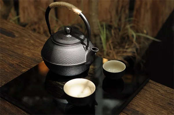 春の蝶に餌をあげる｜腐った果物で簡単に作れる蝶のビストロ