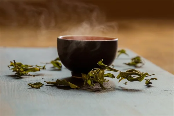 植物の知性はどこまで？実験でわかった3つの事実