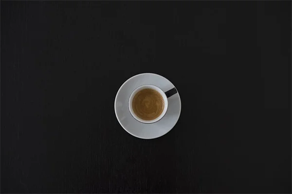 冬の庭が赤く染まる！Yuletide山茶花の育て方と魅力